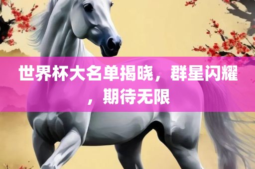 世界杯大名单揭晓，群星闪耀，期待无限江门市永晋源无纺布有限公司