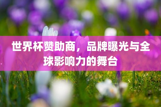 世界杯赞助商，品牌曝光与全球影响力的舞台