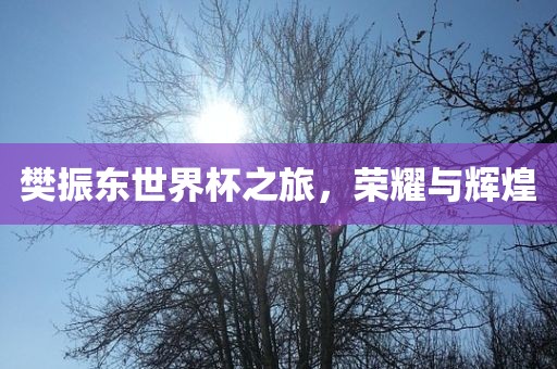 樊振东世界杯之旅，荣耀与辉煌江门市永晋源无纺布有限公司