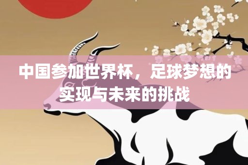 中国参加世界杯，足球梦想的实现与未来的挑战江门市永晋源无纺布有限公司