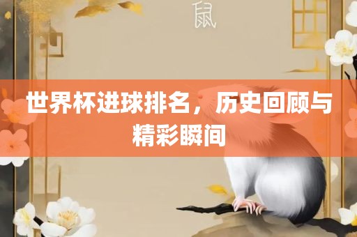 世界杯进球排名，历史回顾与精彩瞬间江门市永晋源无纺布有限公司