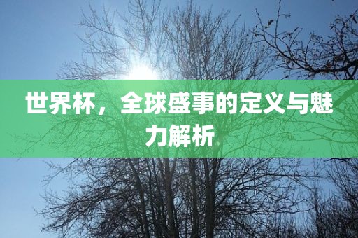世界杯，全球盛事的定义与魅力解析