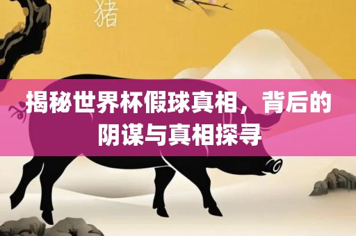 揭秘世界杯假球真相，背后的阴谋与真相探寻
