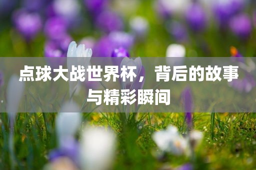 点球大战世界杯，背后的故事与精彩瞬间