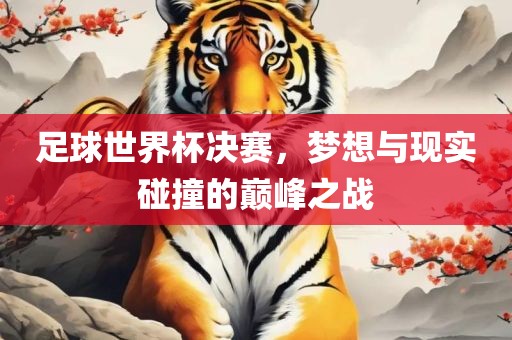 足球世界杯决赛，梦想与现实碰撞的巅峰之战