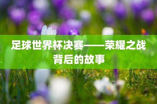足球世界杯决赛——荣耀之战背后的故事