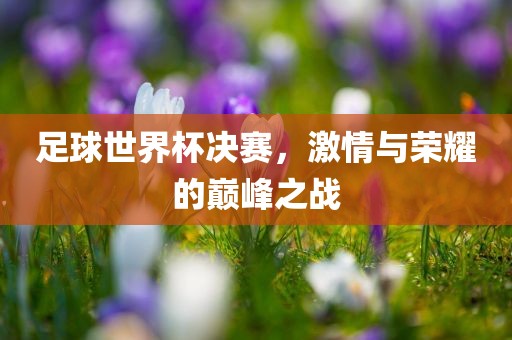 足球世界杯决赛，激情与荣耀的巅峰之战