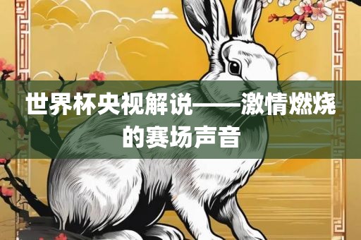 世界杯央视解说——激情燃烧的赛场声音江门市永晋源无纺布有限公司