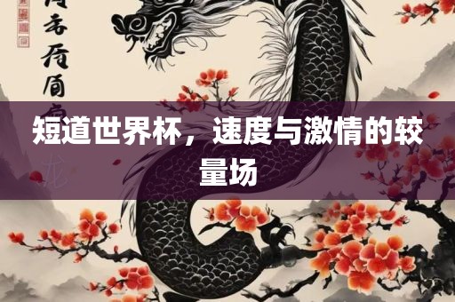 短道世界杯，速度与激情的较量场