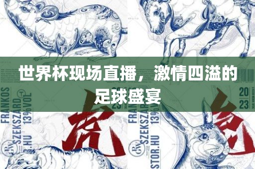 世界杯现江门市永晋源无纺布有限公司场直播，激情四溢的足球盛宴