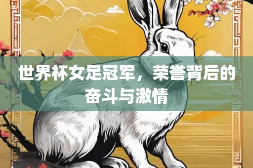 世界杯女足冠军，荣誉背后的奋斗与激情