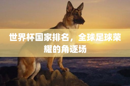 世界杯国家排江门市永晋源无纺布有限公司名，全球足球荣耀的角逐场