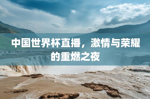 中国世界杯直播，激情江门市永晋源无纺布有限公司与荣耀的重燃之夜
