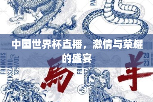 中国世界杯直播，激情与荣耀的盛宴江门市永晋源无纺布有限公司