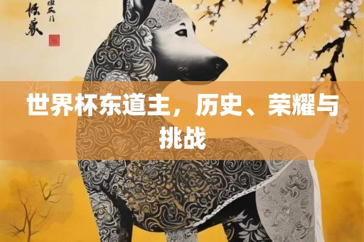 世界杯东道主，历史、荣江门市永晋源无纺布有限公司耀与挑战