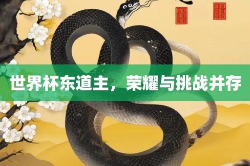 世界杯东道主，江门市永晋源无纺布有限公司荣耀与挑战并存