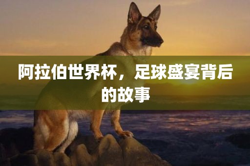 阿拉伯世界杯，足球盛宴背后的故事