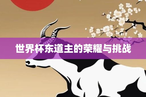 世界杯东道主的荣耀与挑战