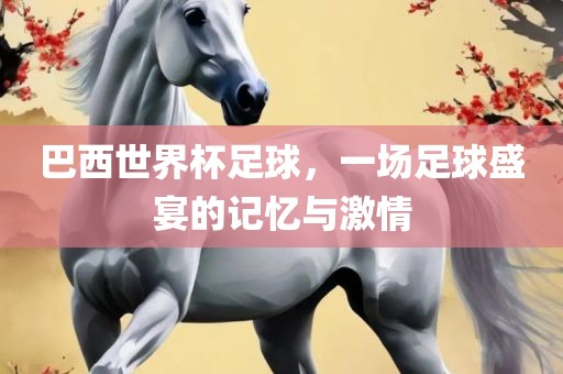 巴西世界杯足球，一场足球盛宴的记忆与激情江门市永晋源无纺布有限公司