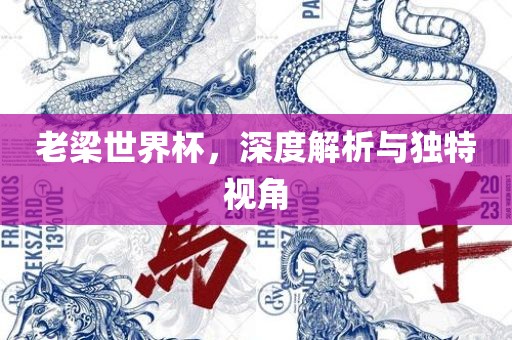 老梁世界杯，深度解析与独江门市永晋源无纺布有限公司特视角