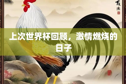 上次世界杯回顾，激情燃烧的日子