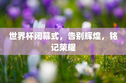 世界杯闭幕式，告别辉煌，铭记荣耀江门市永晋源无纺布有限公司