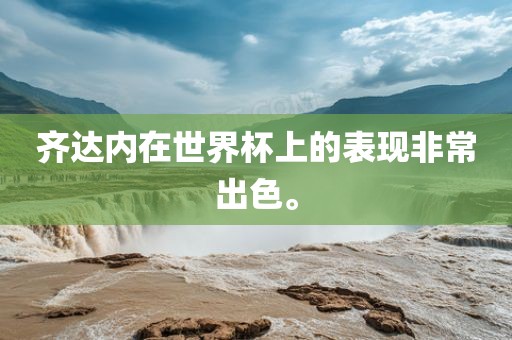 齐达江门市永晋源无纺布有限公司内在世界杯上的表现非常出色。