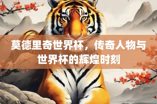 莫德里奇世界杯，传奇人物与世界杯的辉煌时刻