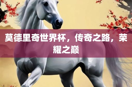 莫德里奇世界杯，传奇之路，荣耀之巅