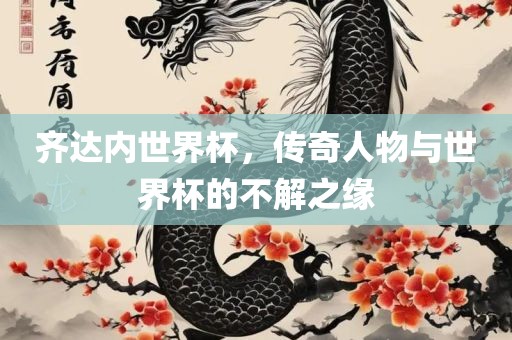 齐达内世界杯，传奇人物与世界杯的不解之缘