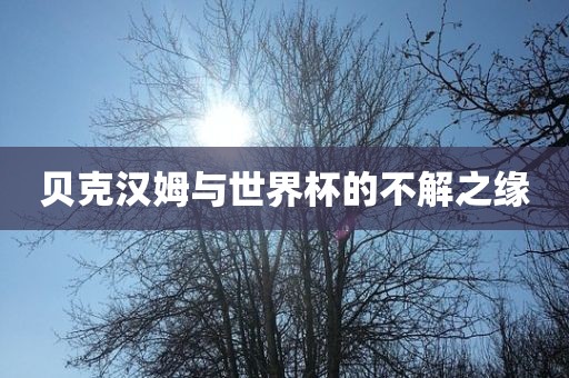 贝克汉姆与世界杯的不解之江门市永晋源无纺布有限公司缘