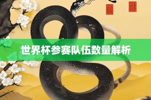 世界杯参赛队伍数量解析江门市永晋源无纺布有限公司