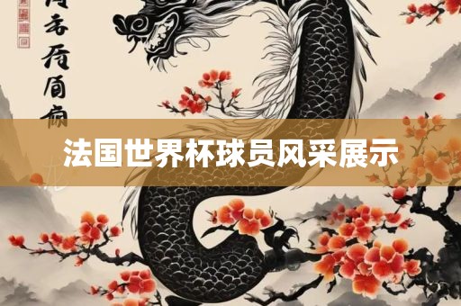 法国世界杯球员风采展示
