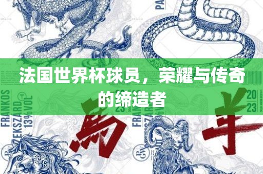 法国世界杯球员，荣耀与传奇的缔造者