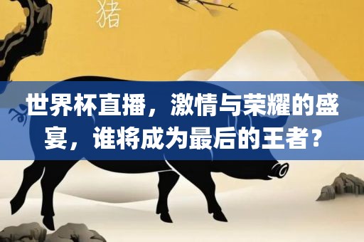 世界杯直播，激情与荣耀的盛宴，谁将成为最后的王者？