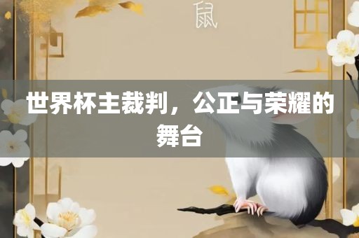 世界杯主裁判，公正与荣耀的舞台江门市永晋源无纺布有限公司