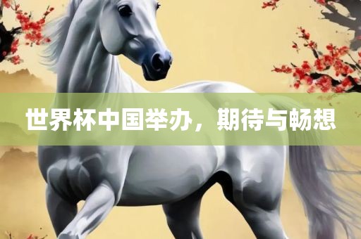 世界杯中国举办，期待与畅想