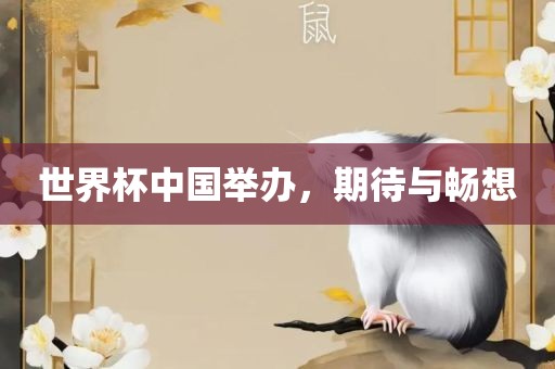 世界杯中国举办，期待与畅想