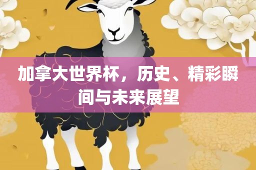 加拿大世界杯，历史、精彩瞬间与未来展望江门市永晋源无纺布有限公司