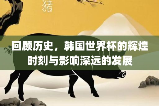 回顾历史，韩国世界杯的辉煌时刻与江门市永晋源无纺布有限公司影响深远的发展