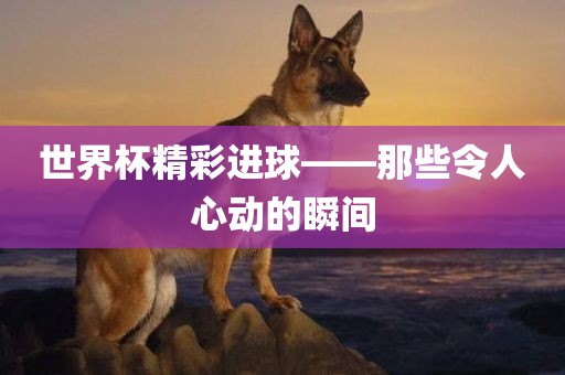 世界杯精彩进球——那些令人心动的瞬间