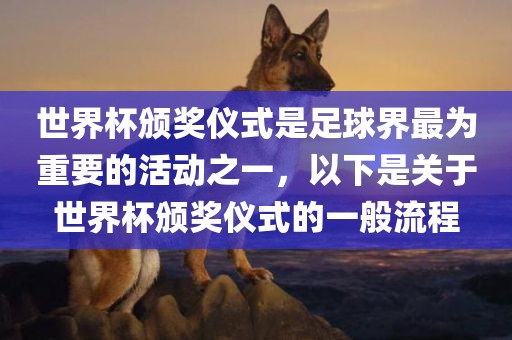 世界杯颁奖仪式是足球界最为重要的活动之一，以下是关于世界杯颁奖仪式的一般流程