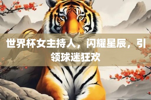 世界杯女主持人，闪耀星辰，引领球迷狂欢