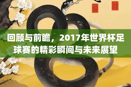 回顾与前瞻，2017年世界杯足球赛的精彩瞬间与未来展望江门市永晋源无纺布有限公司