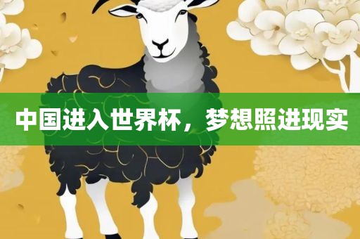 中国进入世界杯，梦想照进现实