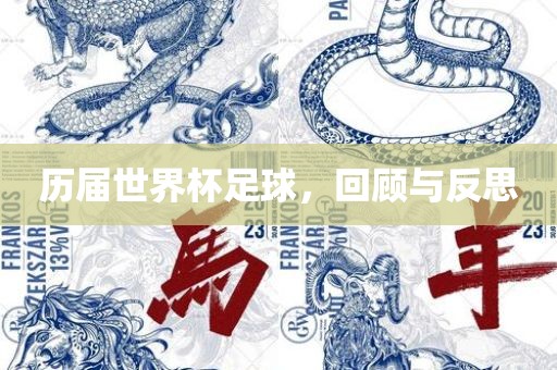 历届世界杯足球，回顾与反思江门市永晋源无纺布有限公司