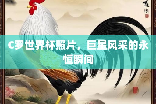 C罗世界杯照片，巨星风采的永恒瞬间