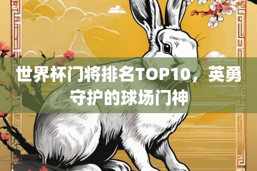 世界杯门将排名TOP10，英勇守护的球场门神