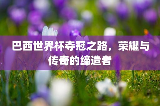 巴西世界杯夺冠之路，荣耀与传奇的缔造者