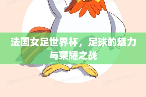 法国女足世界杯，足球的魅力与荣耀之战江门市永晋源无纺布有限公司